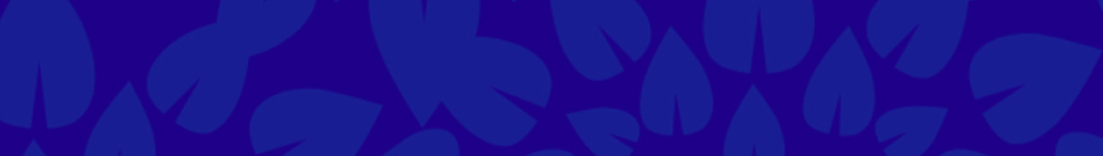 Footer Image